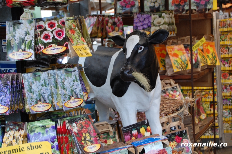 Amsterdam_ the_place_galerie_16.jpg
