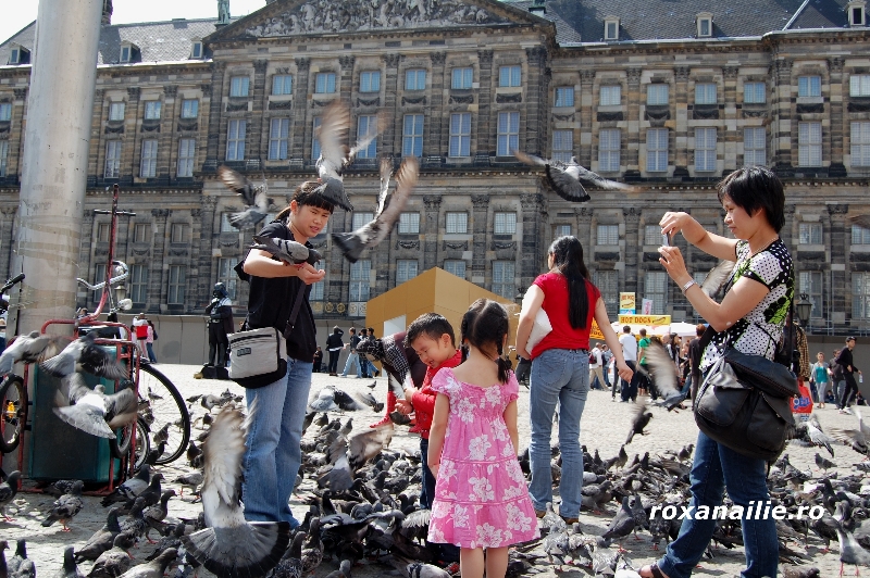 Amsterdam_ the_place_galerie_22.jpg