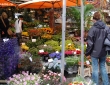 Amsterdam_ the_place_galerie_3.jpg