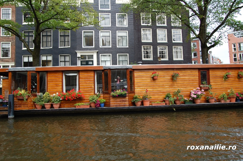 Amsterdamul_meu_galerie_18.jpg