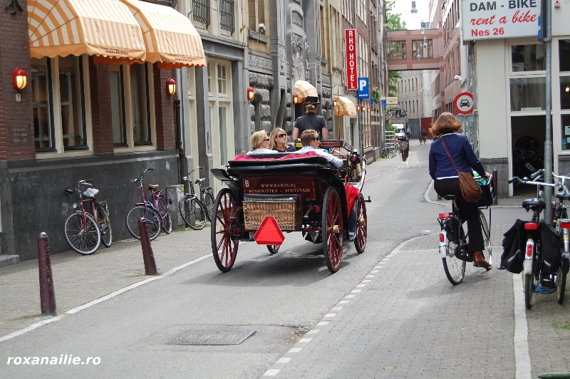 Amsterdamul_meu_galerie_23.jpg