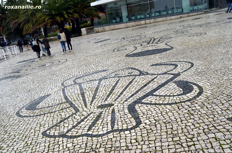 Calcada_portugheza_galerie_16.jpg