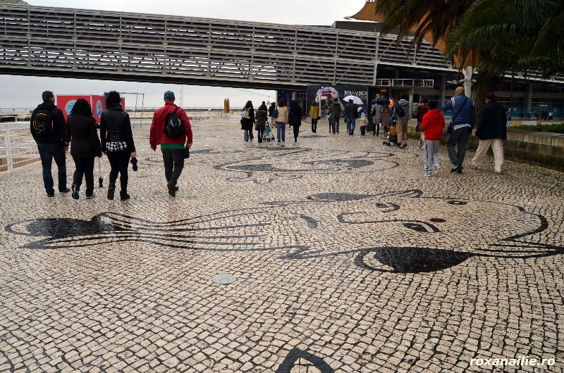 Calcada_portugheza_galerie_17.jpg