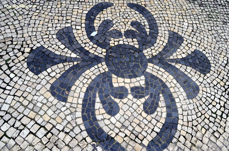 Calcada_portugheza_galerie_19.jpg