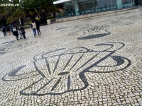 Calcada_portugheza_galerie_16.jpg
