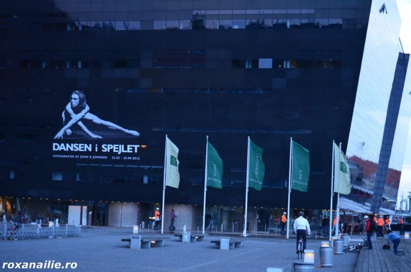 Copenhaga_regalul_scandinav_galerie_12.jpg