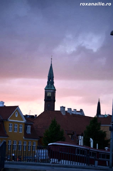 Copenhaga_regalul_scandinav_galerie_13.jpg