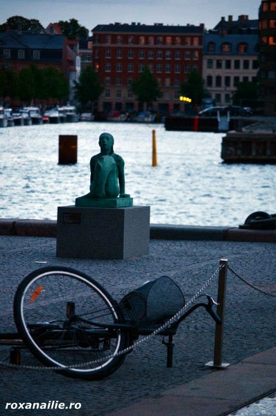 Copenhaga_regalul_scandinav_galerie_6.jpg