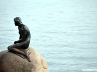Copenhaga_regalul_scandinav_galerie_17.jpg