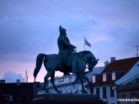 Copenhaga_regalul_scandinav_galerie_2.jpg