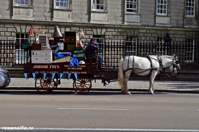 Dublin_pint_galerie_5.jpg