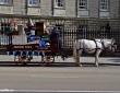 Dublin_pint_galerie_5.jpg