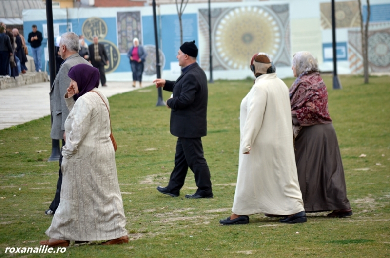 In_2013_am_calatorit_galerie_7.jpg