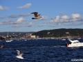 In_Oslo_fericirea_12.jpg
