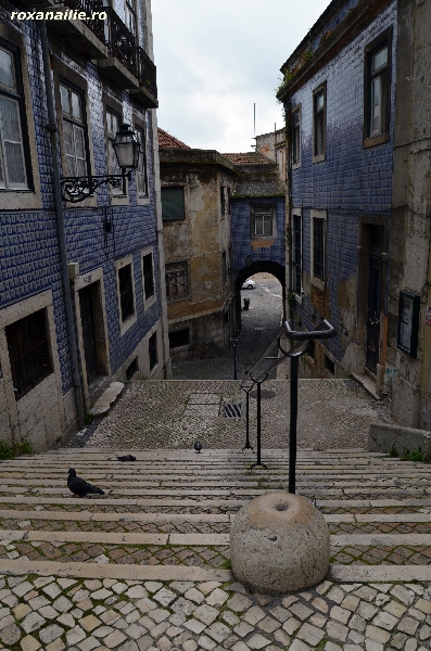 Lisabona_raiul_fotografiei_galerie_24.jpg
