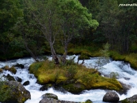 Norvegia_regatul_apei_galerie_4.jpg