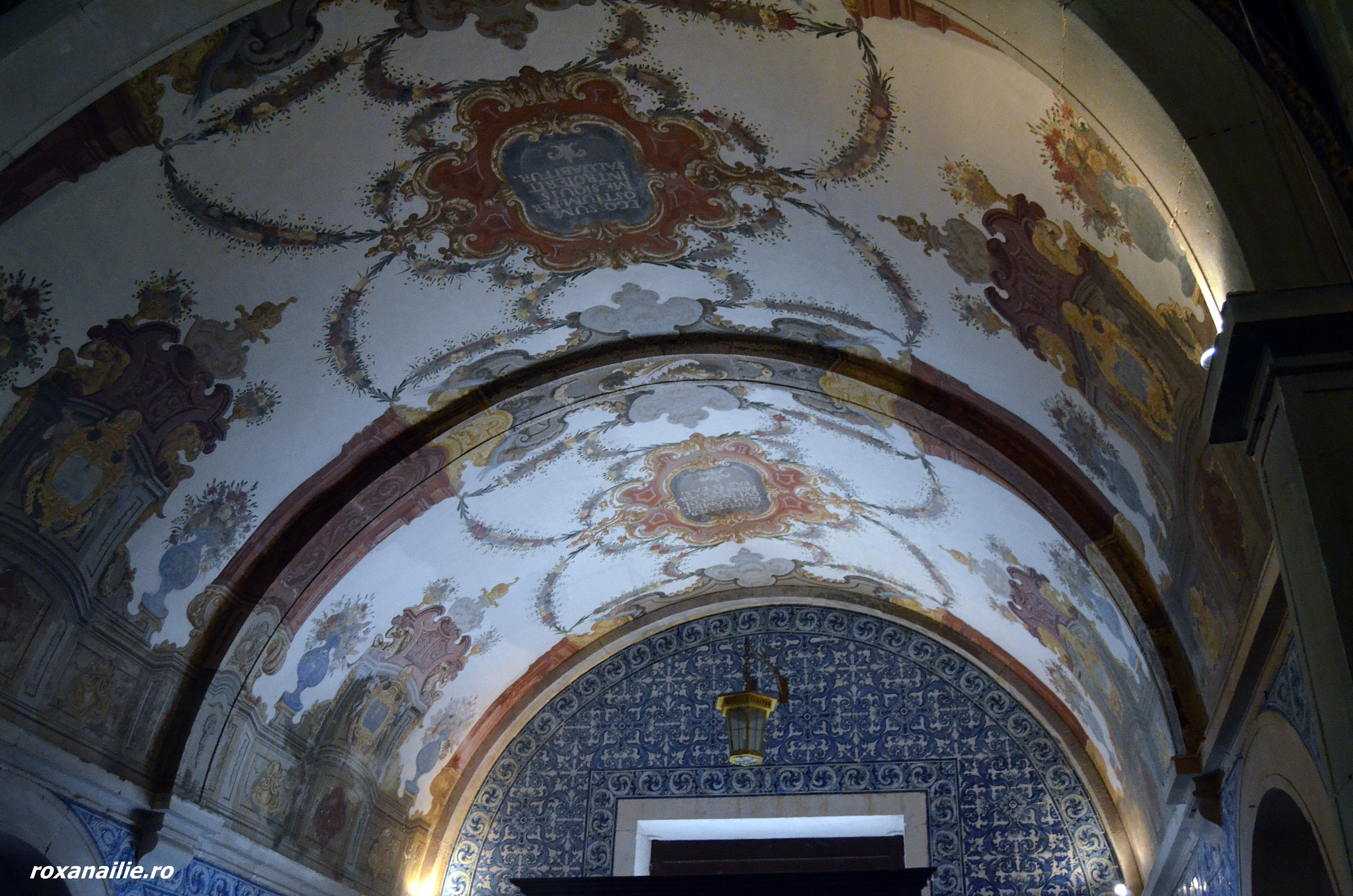 DSC_1262.JPG