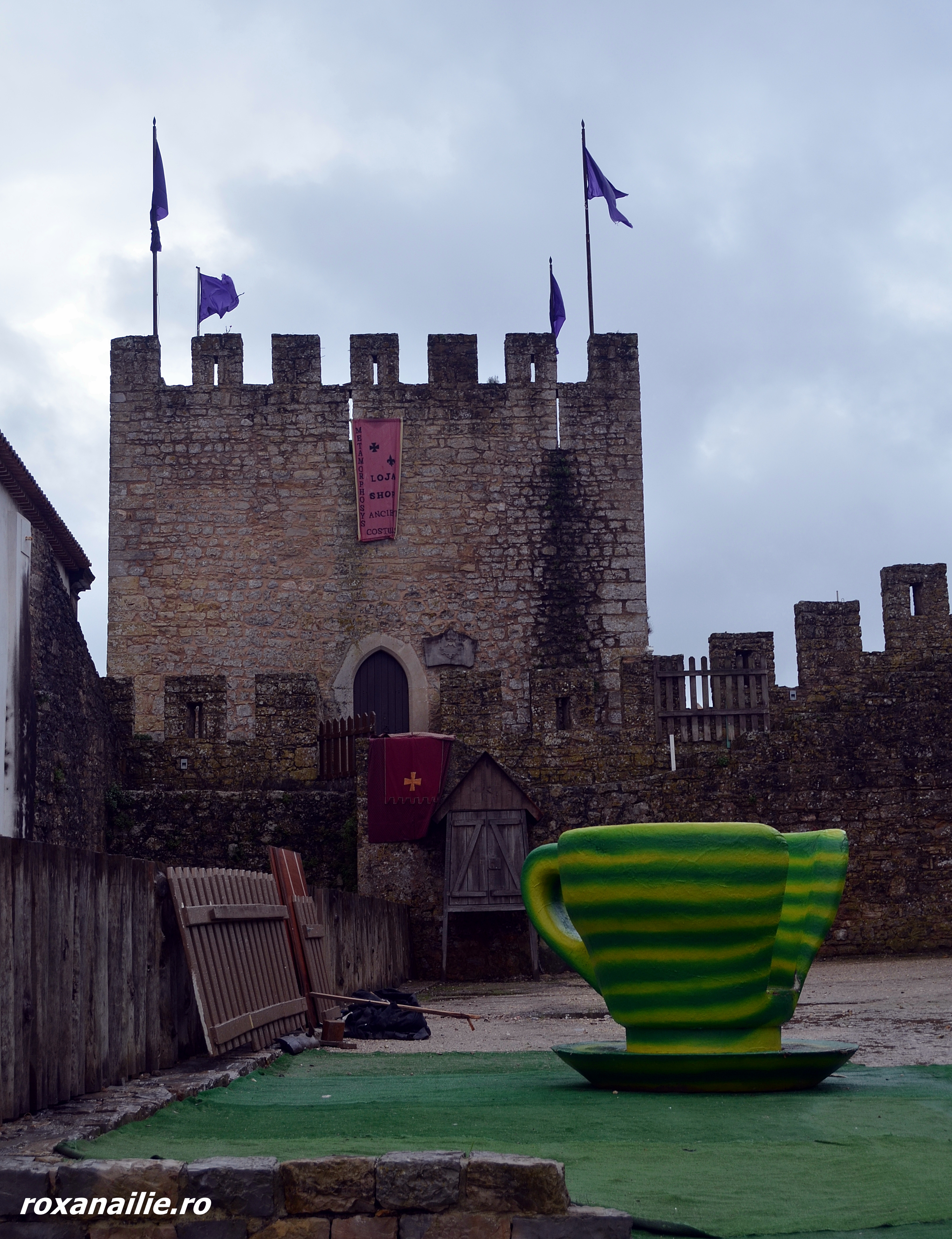 DSC_1294.JPG