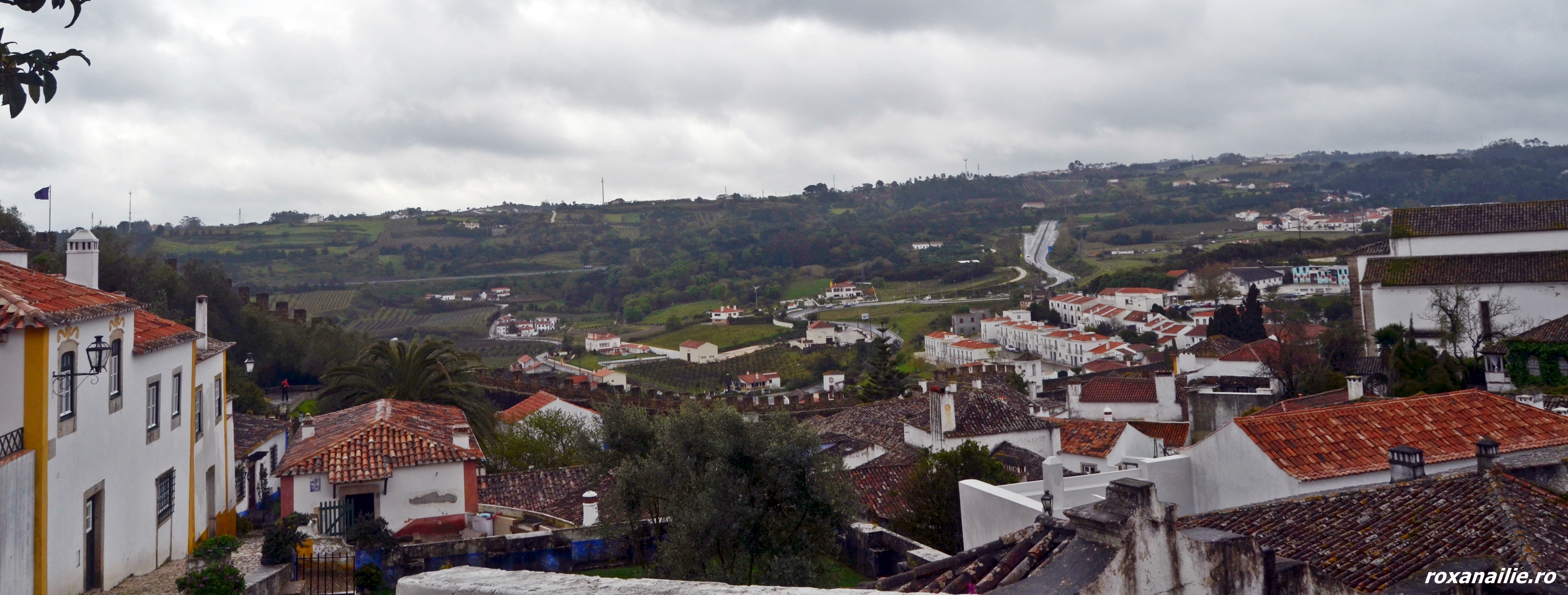 DSC_1298.JPG