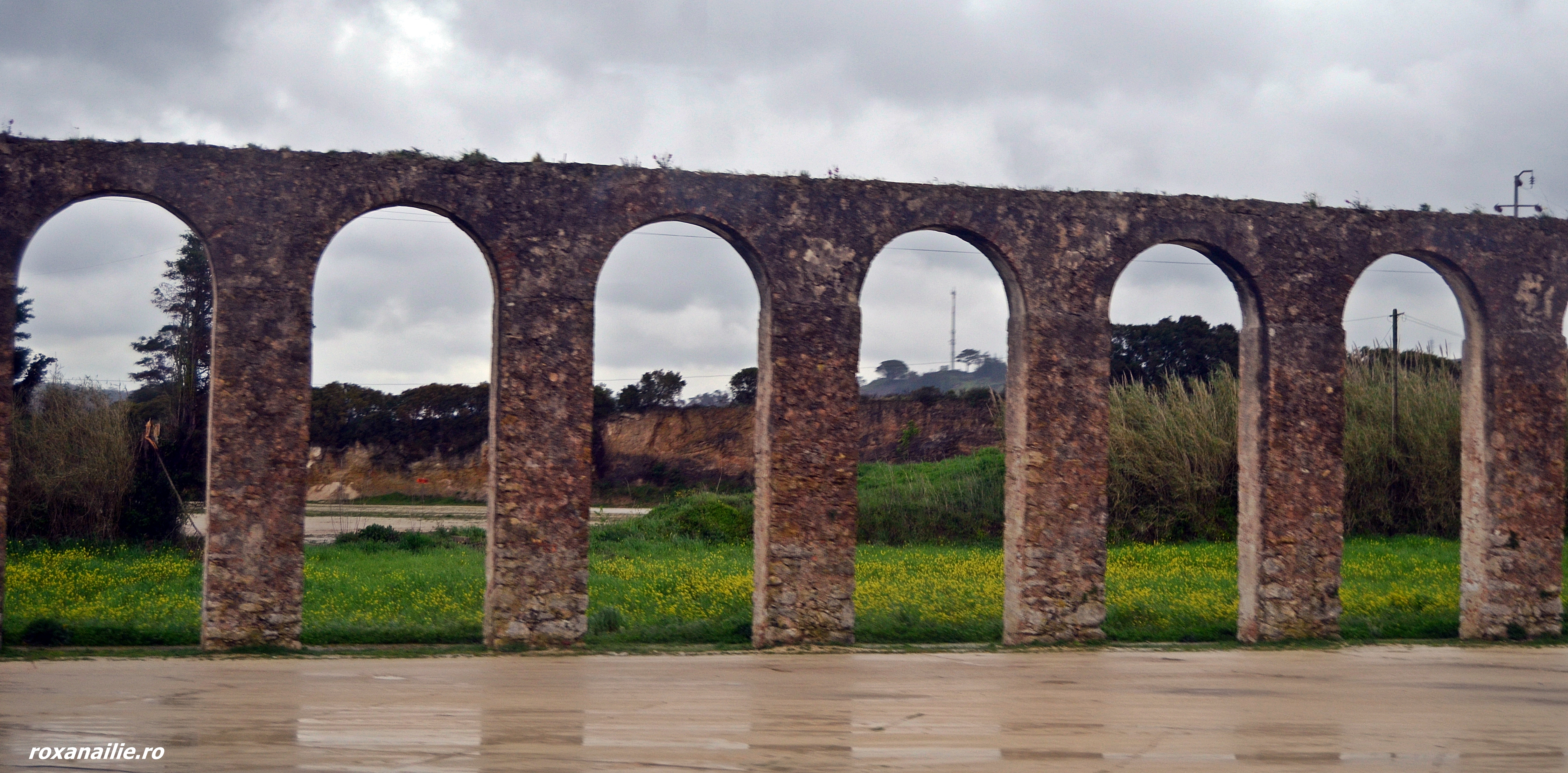 DSC_1360.JPG