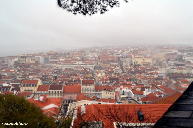 Panorama_Lisabonei_galerie_4.jpg