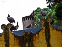 Panorama_Lisabonei_galerie_27.jpg
