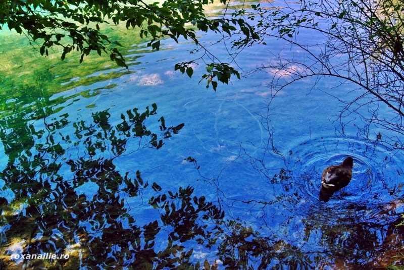 Plitvice_smaraldul_galerie_1.jpg