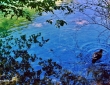 Plitvice_smaraldul_galerie_1.jpg