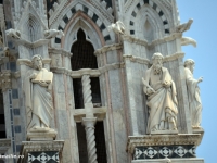 Siena_orasul_Domului_galerie_b2.jpg
