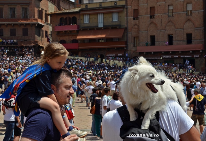 SIENA_orasul_fiestelor_memorabile_galerie_4.jpg