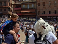 SIENA_orasul_fiestelor_memorabile_galerie_4.jpg