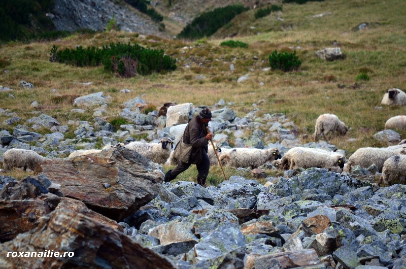 Transalpinaaaaa_galerie_12.jpg