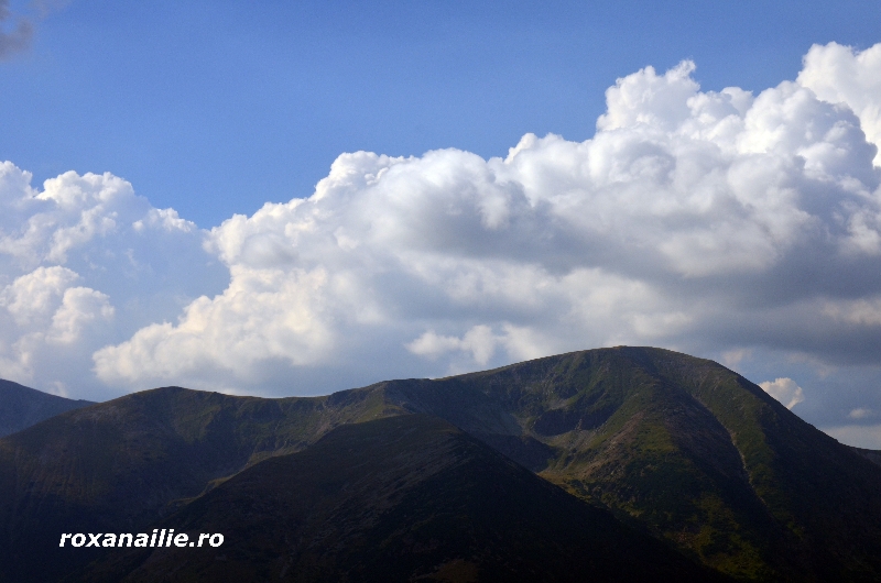 Transalpinaaaaa_galerie_3.jpg