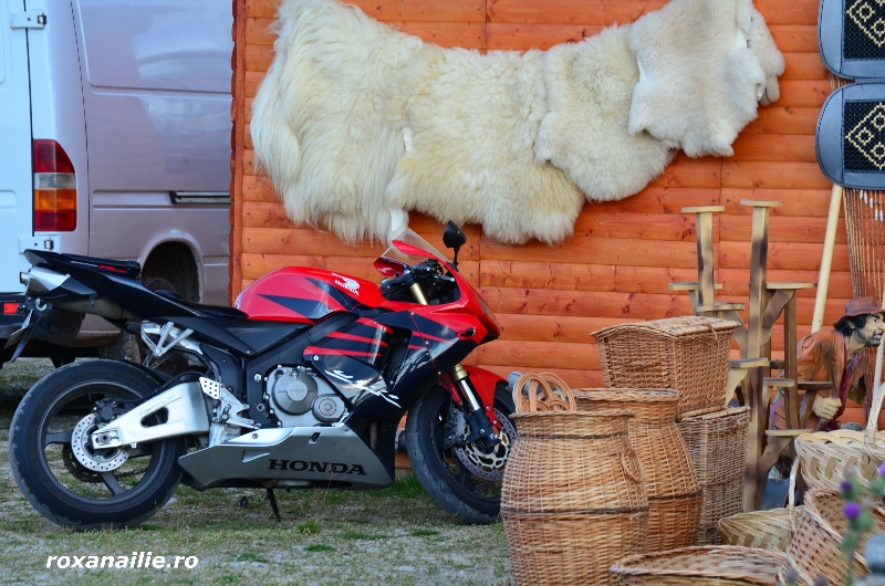 Transalpinaaaaa_galerie_4.jpg
